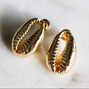 New Golden Cowrie Stud Earrings